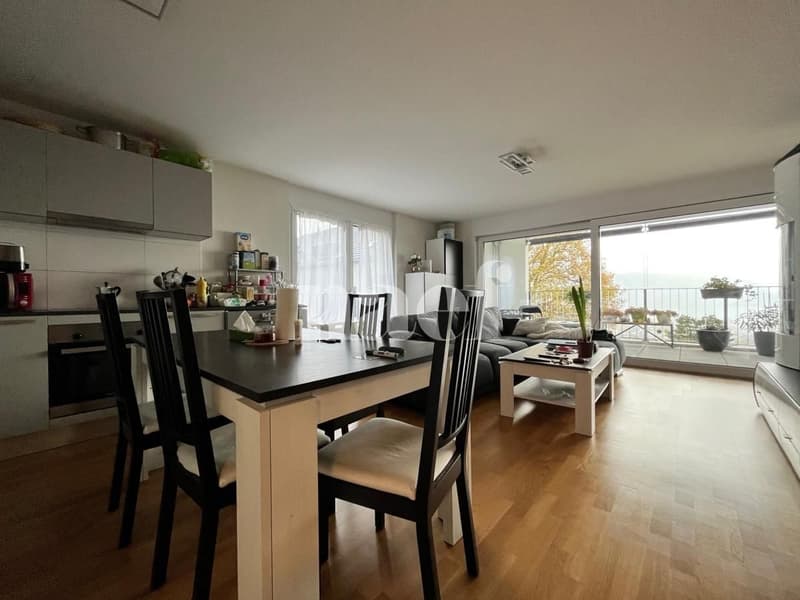 Beautiful modern apartment with lake view (2)