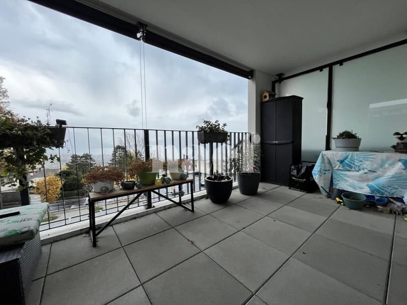 Beautiful modern apartment with lake view (9)