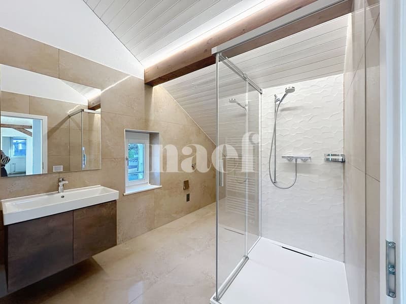 Four-room attic apartment (2)