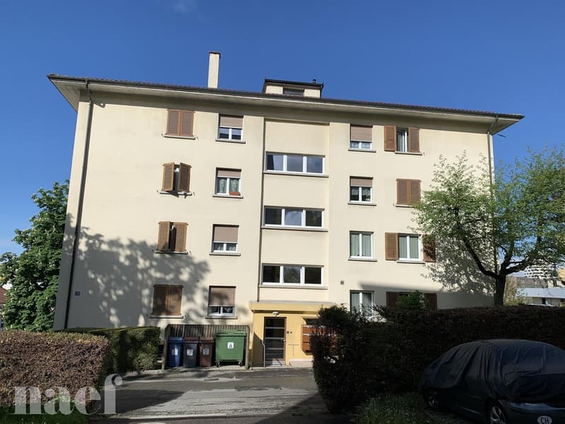 Appartamento di 2 locali ristrutturato (1)