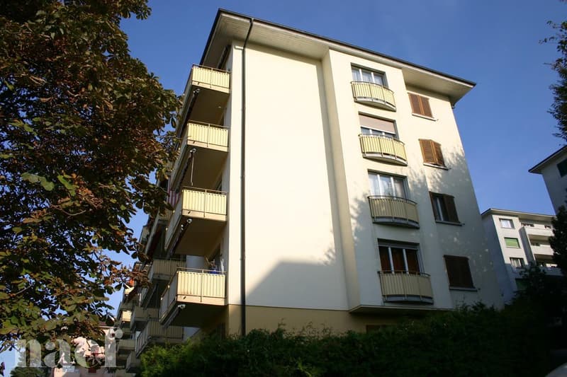 Appartamento di 2 locali ristrutturato (2)