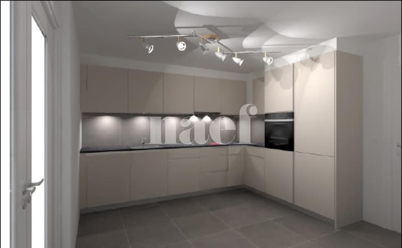 Appartamento di 4 locali completamente ristrutturato (2)