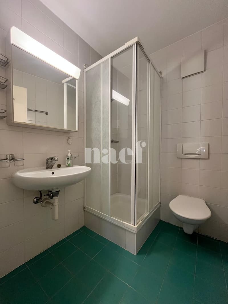 Two minutes from the train station and city center (9)