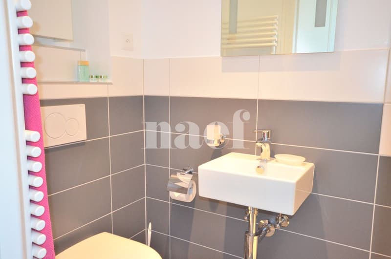 Studio n12 meublé au 1er étage (2)