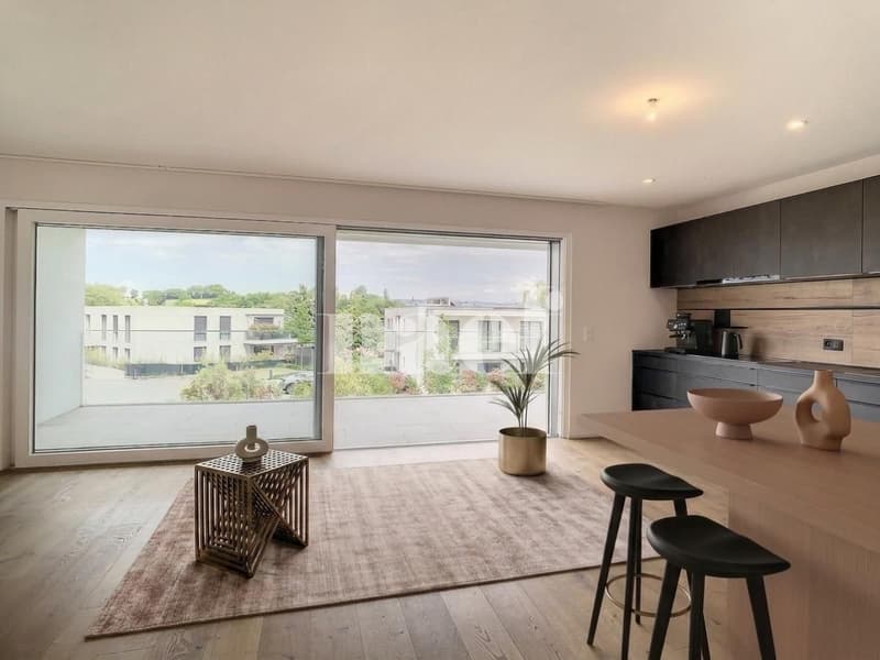 Magnifique appartement lumineux de 4.5 pces (1)