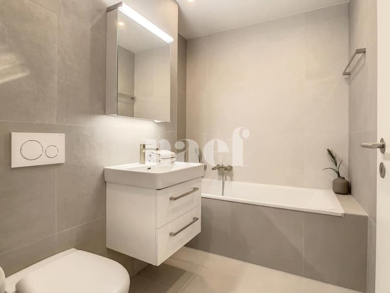 Magnifique appartement lumineux de 4.5 pces (8)