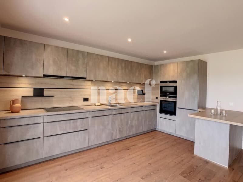 Magnifique appartement lumineux de 4.5 pces (2)