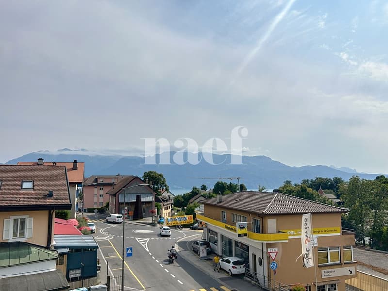 Appartement de 4 pièces dans les combles (11)