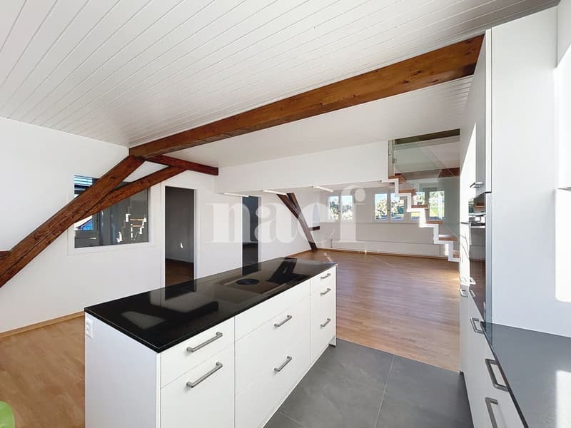 Appartement de 4 pièces dans les combles (1)
