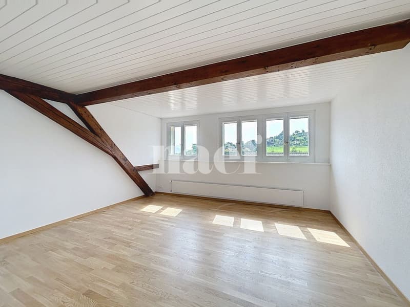 Appartement de 4 pièces dans les combles (3)
