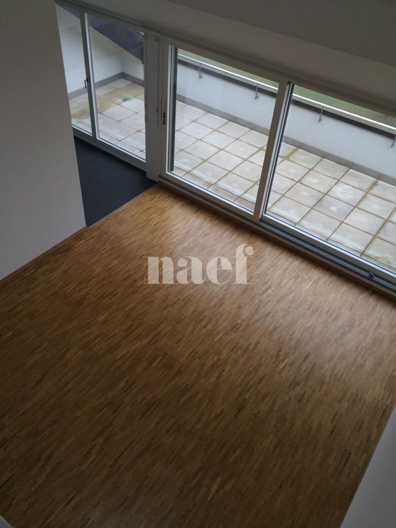 Duplex de 4,5 pièces au 2ème étage (10)