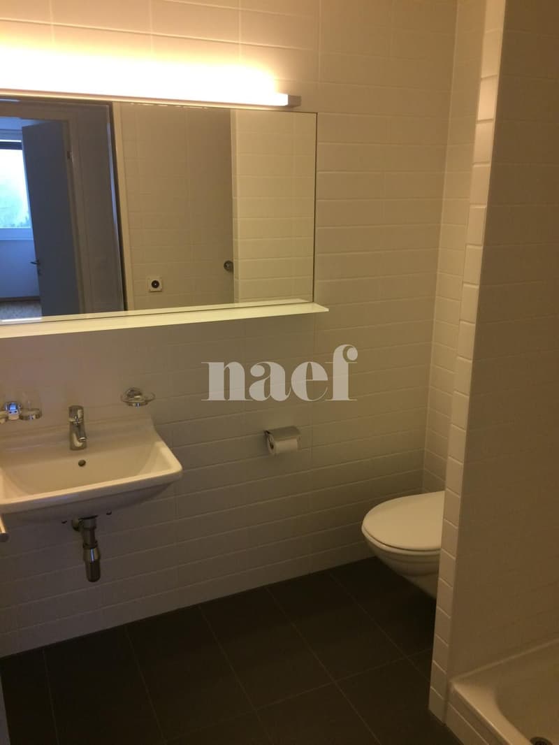 Duplex de 4,5 pièces au 2ème étage (7)