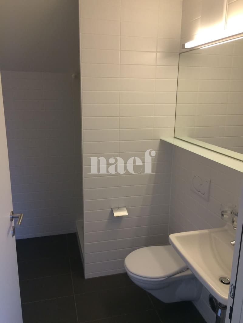 Duplex de 4,5 pièces au 2ème étage (12)