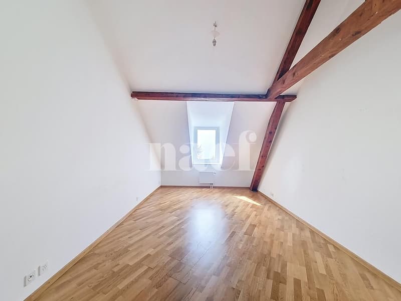 Appartement charmant de 2.5 pces aux combles (5)