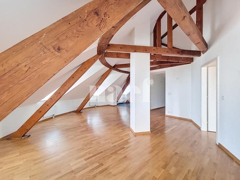 Appartement charmant de 2.5 pces aux combles (3)