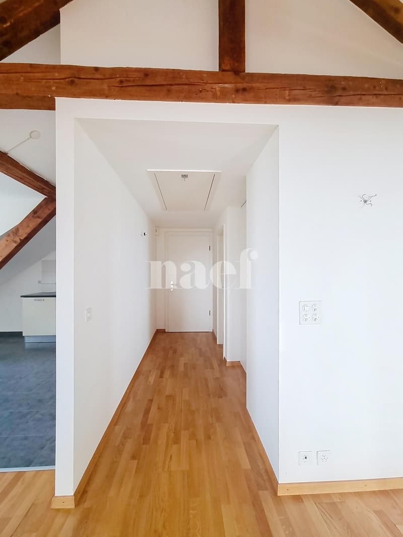 Appartement charmant de 2.5 pces aux combles (10)