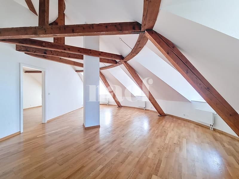 Appartement charmant de 2.5 pces aux combles (2)