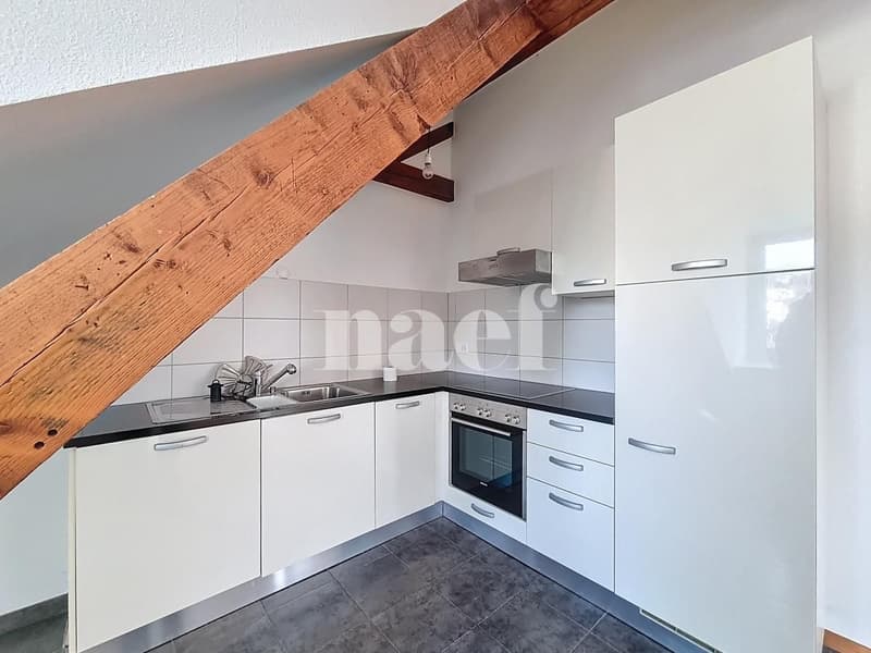 Appartement charmant de 2.5 pces aux combles (4)