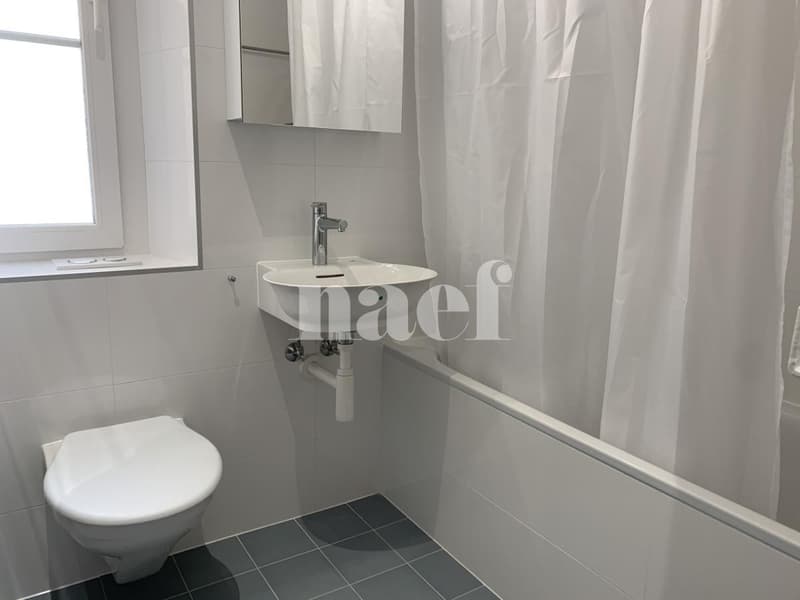 Bel appartement de 3.5 pièces (7)