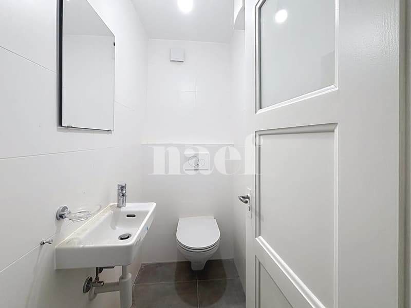 Appartement entièrement rénové avec cachet (6)