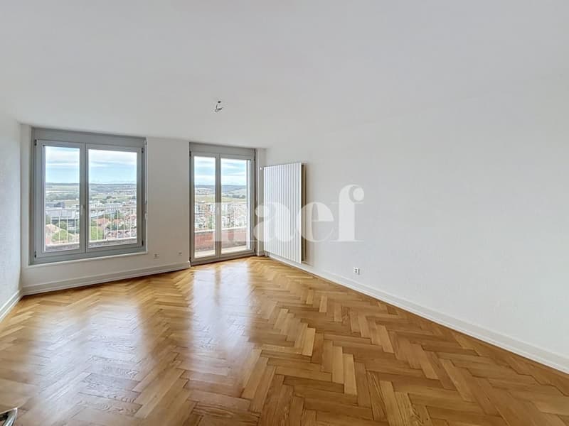 Appartement entièrement rénové avec cachet (5)