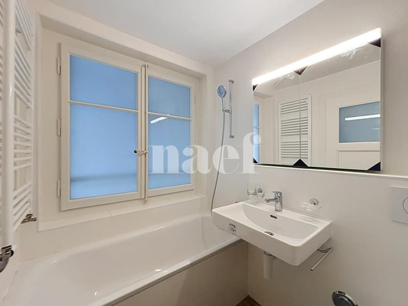 Appartement entièrement rénové avec cachet (8)