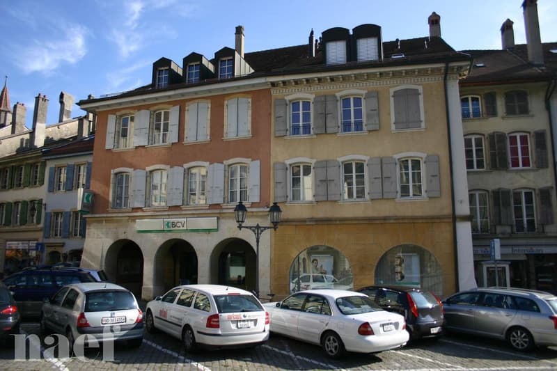 Appartement entièrement rénové avec cachet (1)