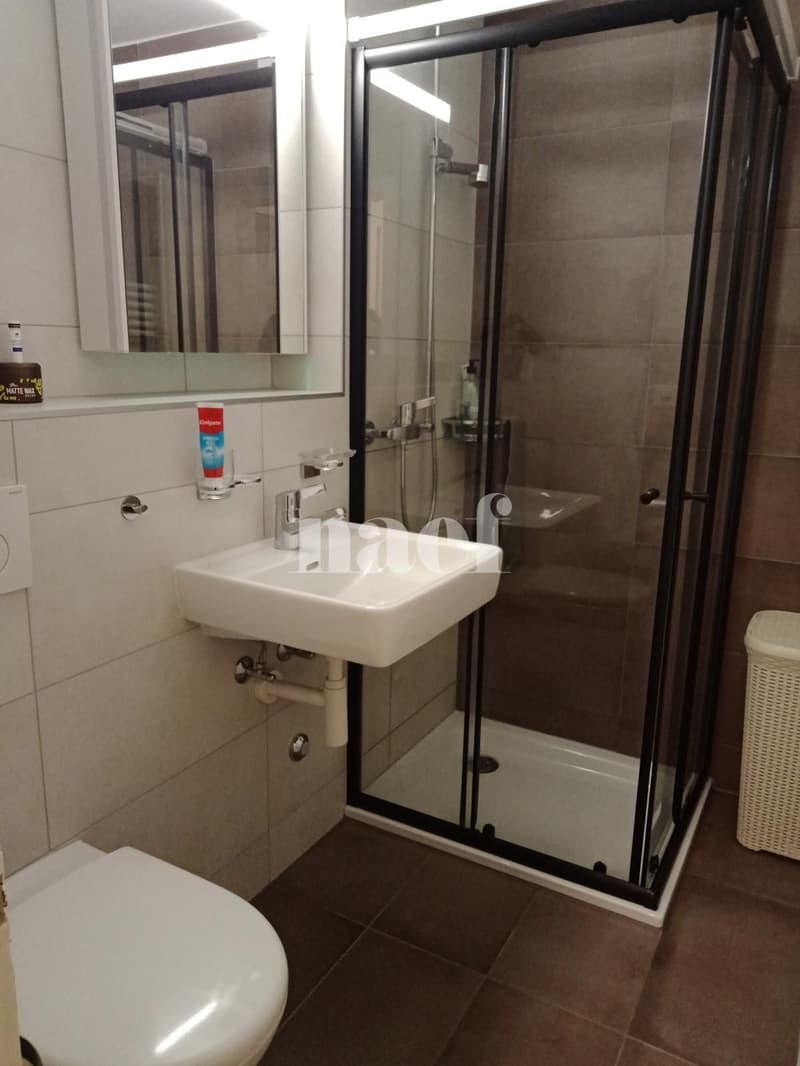 Appartement de 2 pièces au 2ème étage (5)