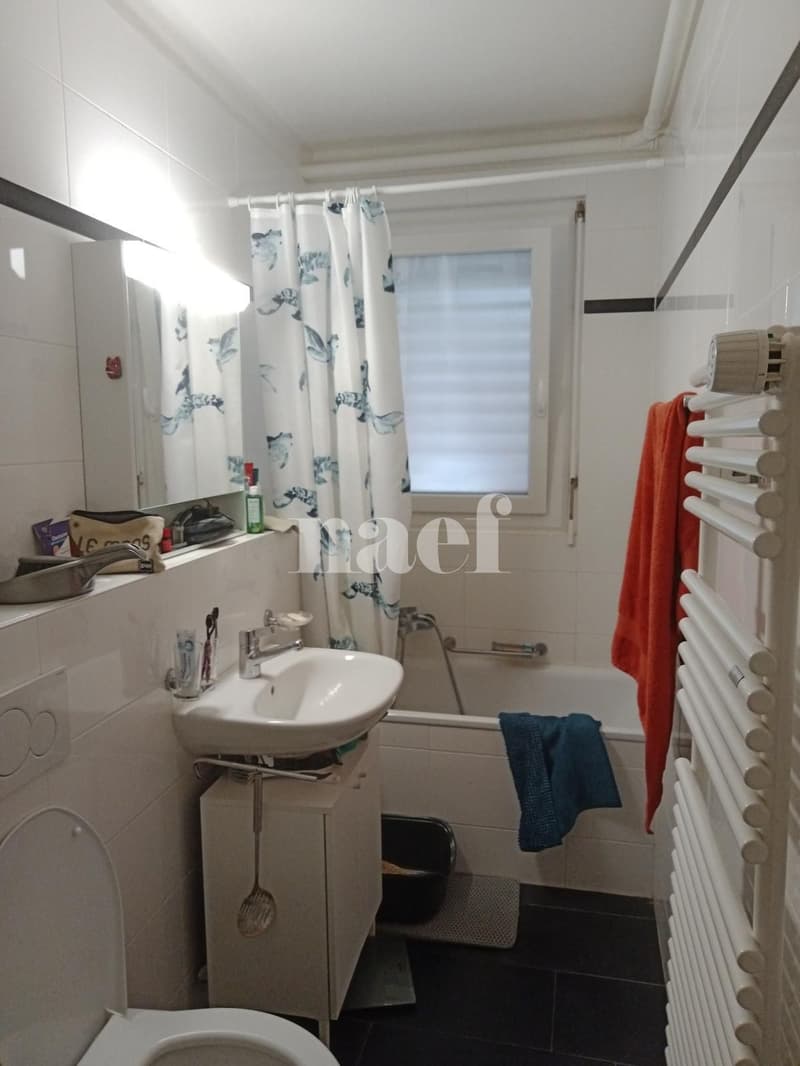 Appartement de 2,5 pièces au rez (3)