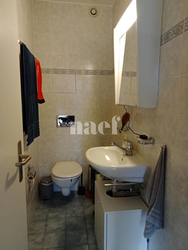 Appartement de 4.5 pièces, au 1er étage (9)