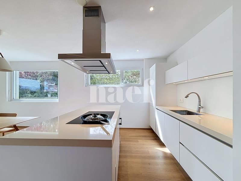 Splendide appartement de 3.5 pièces (4)