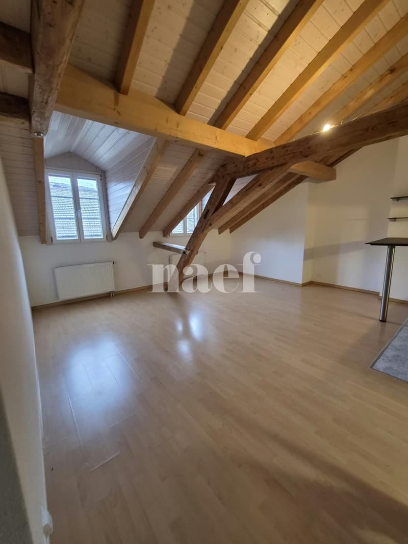 Appartement 2.5 pièces au 5ème étage (7)