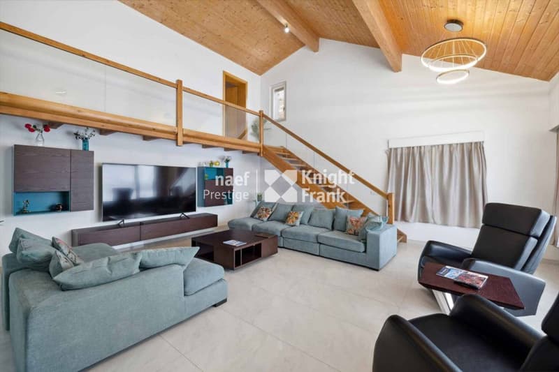 Magnificent 6.5-room villa (3)