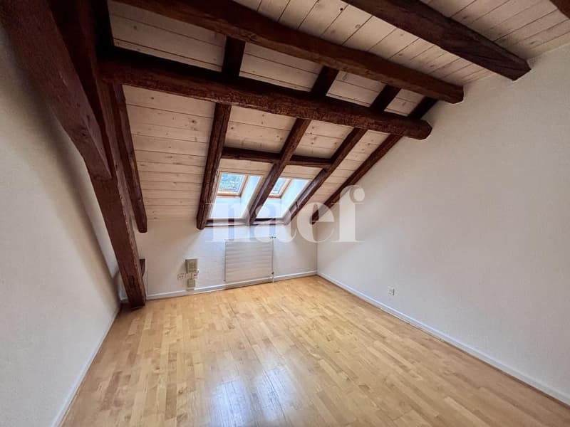 Duplex affascinante in una casa padronale, ristrutturata (12)