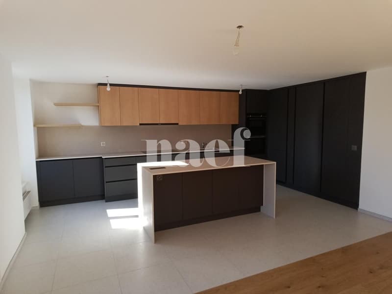 Appartamento di lusso completamente ristrutturato (3)