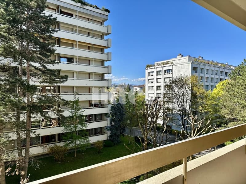 CHAMPEL - Completamente ristrutturato - bello appartamento di 4 locali al 4° piano di un edificio residenziale (7)