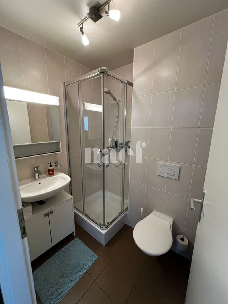 Duplex di 4.5 locali con vista sul Salève (10)