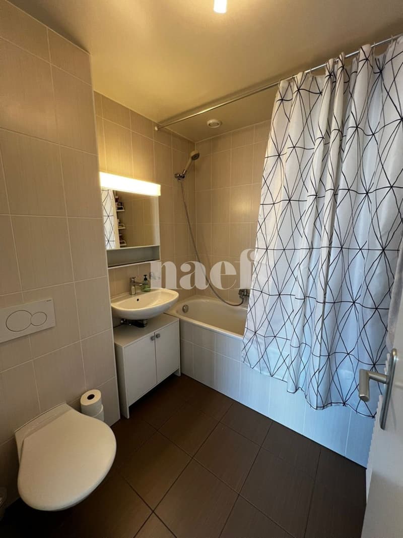 Duplex di 4.5 locali con vista sul Salève (9)