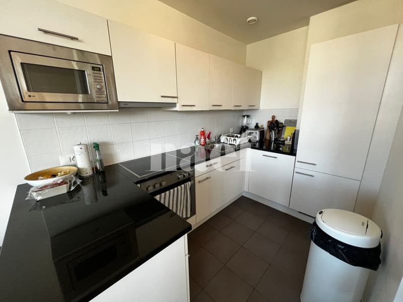 Duplex di 4.5 locali con vista sul Salève (5)
