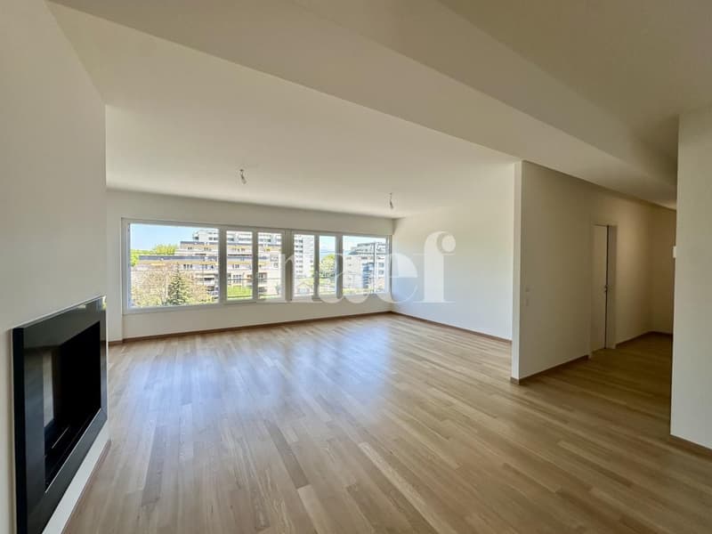 Bright and spacious 6-room apartment with large terrace (4)