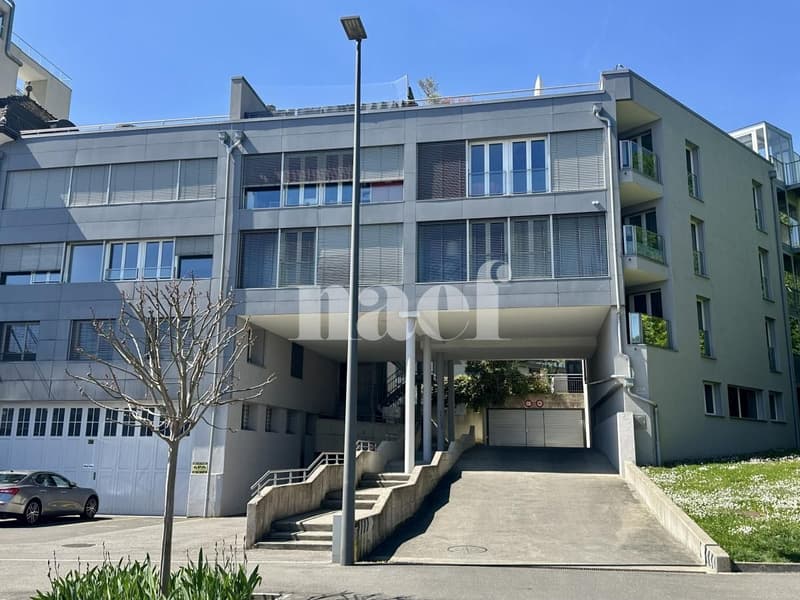 Bright and spacious 6-room apartment with large terrace (1)