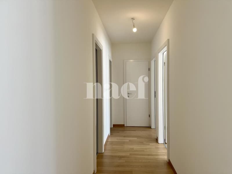 Bright and spacious 6-room apartment with large terrace (10)
