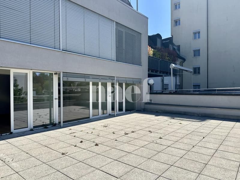 Bright and spacious 6-room apartment with large terrace (13)