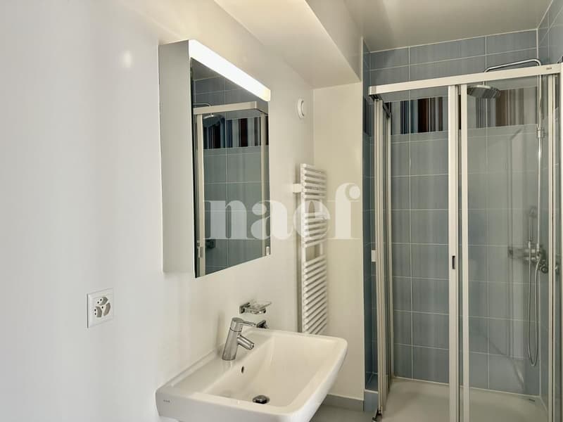 Bright and spacious 6-room apartment with large terrace (12)