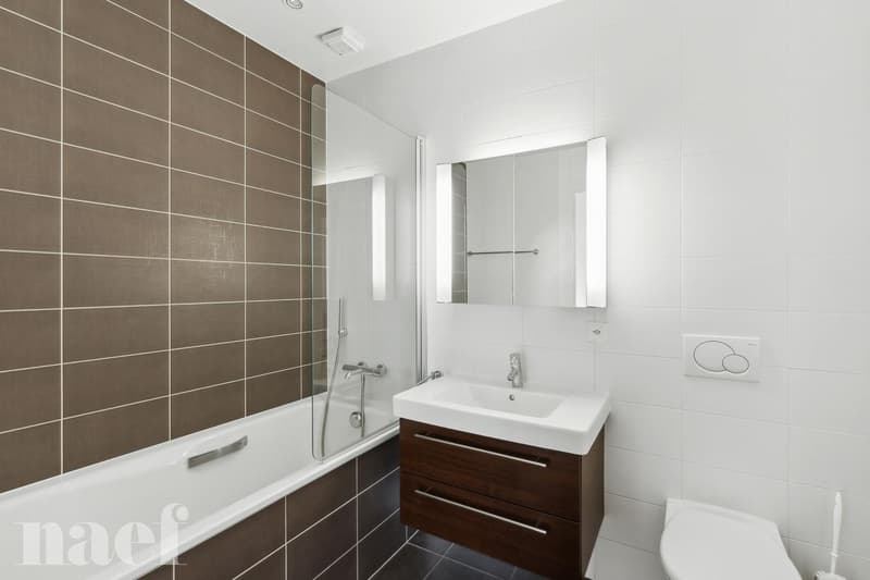 Magnificent high-standard apartment (9)