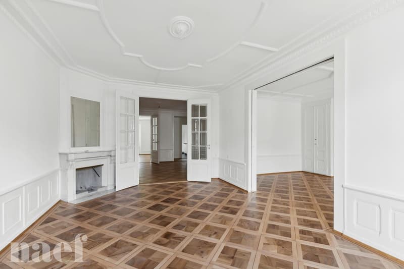 Magnificent high-standard apartment (4)
