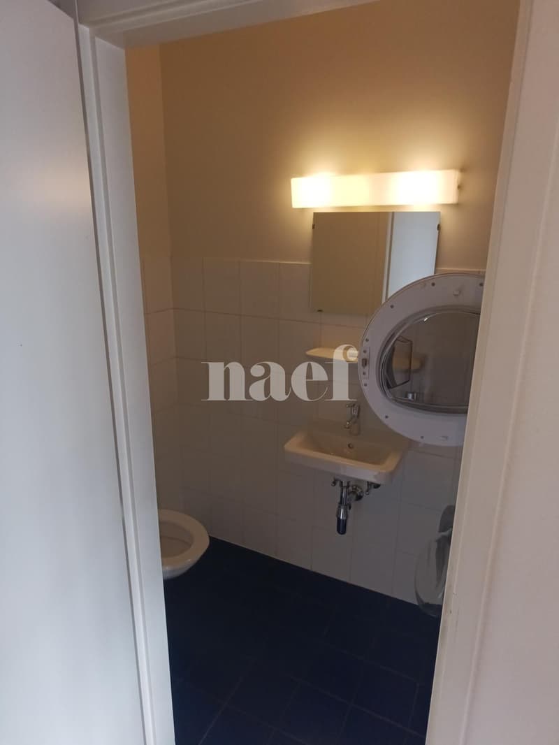 Appartamento di 3 locali (4)