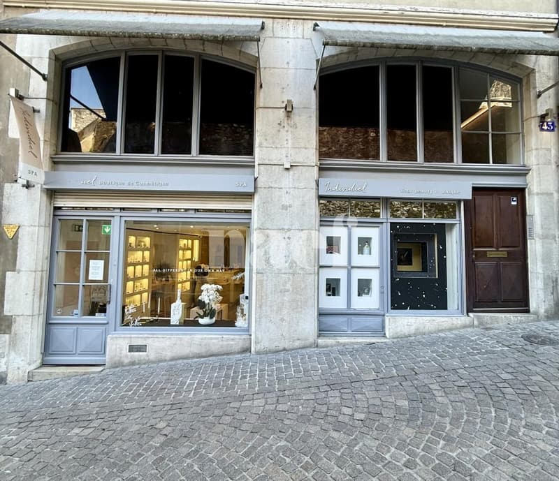 Hypercentre - Schöne Arcade von 135 m2 (1)