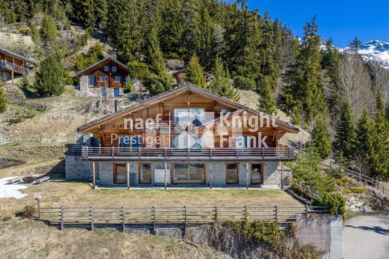 Außergewöhnliches Chalet in Aminona (1)