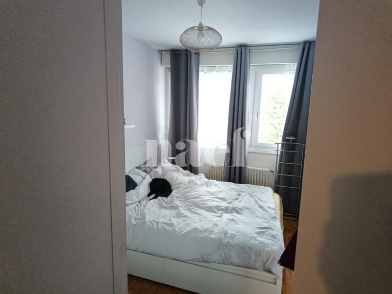 Appartement (6)